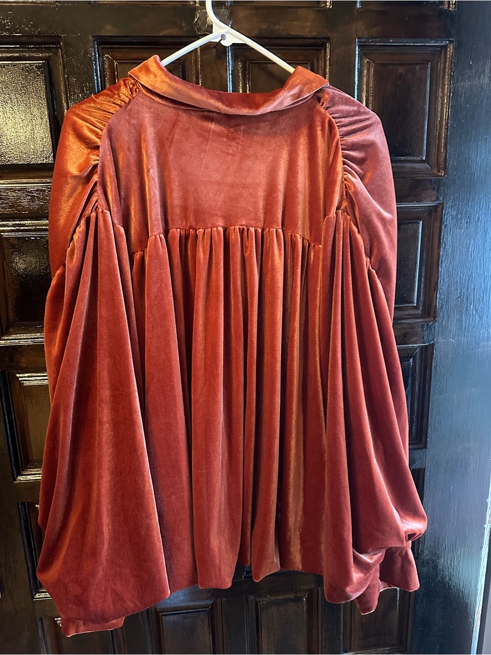 Rust Velvet Button-Front Draped Blouse - Rust - Picture 2 of 2